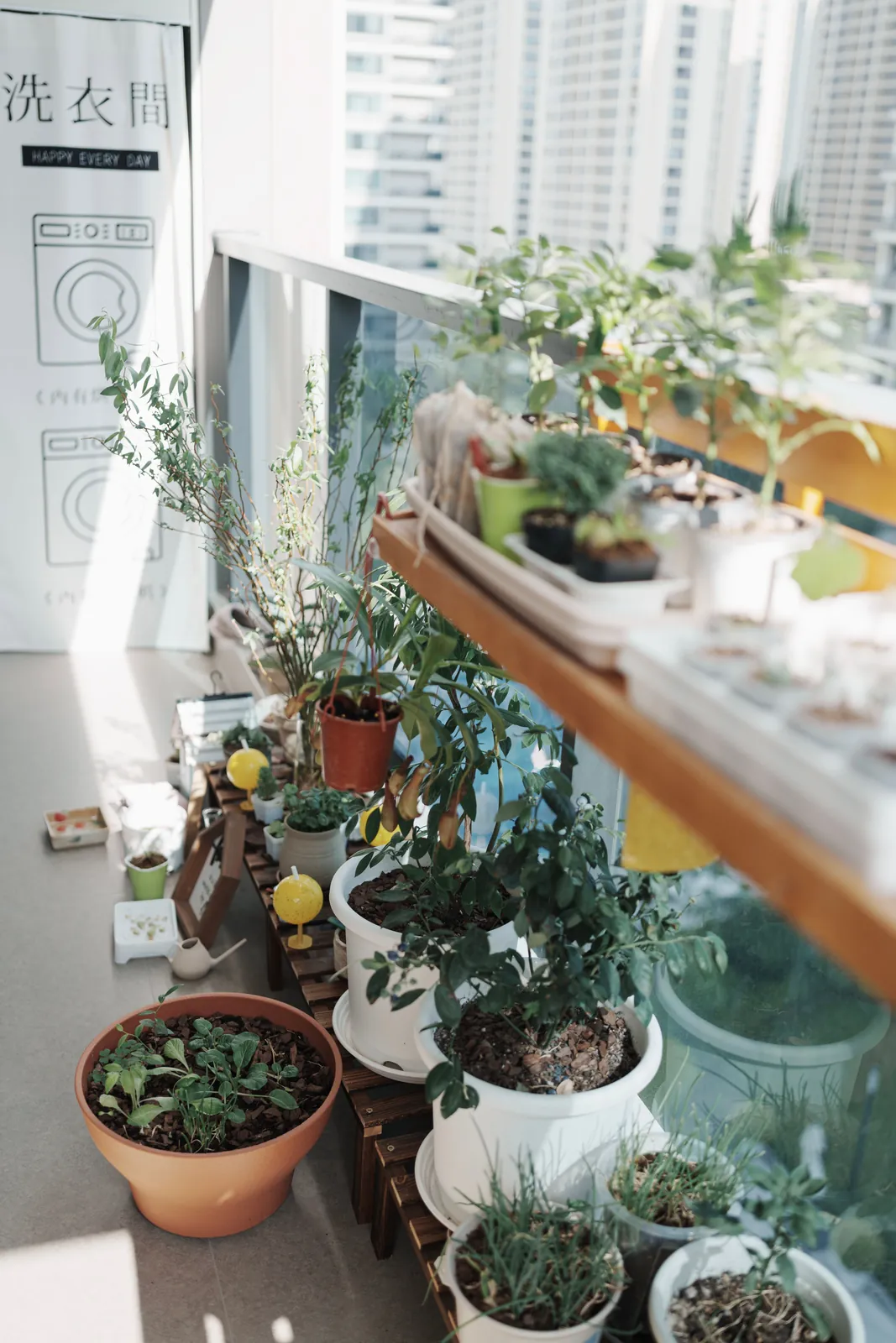 Potted herbs and leafy plants arranged along a sunny apartment balcony