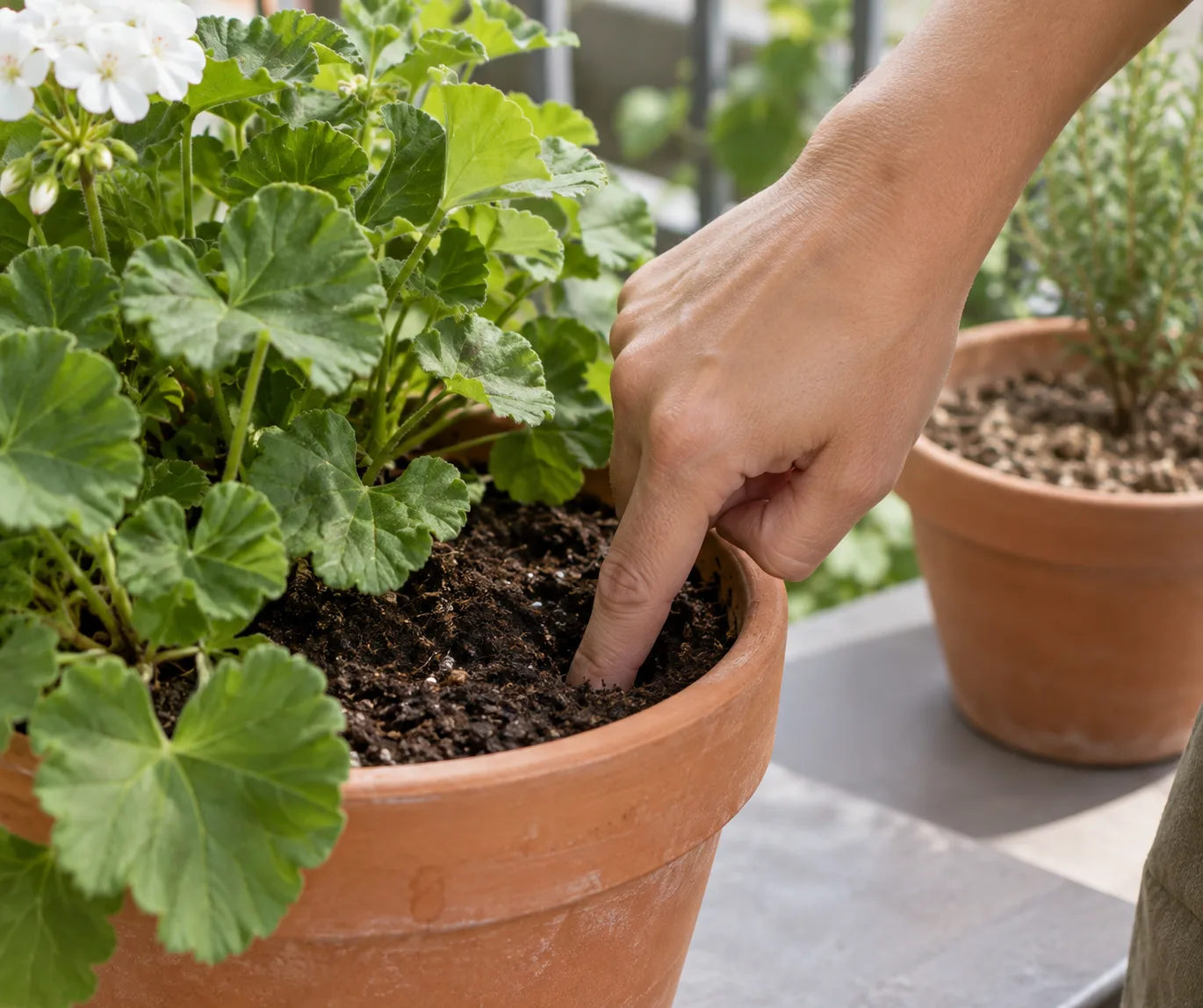 Pushing a finger into balcony container soil to check moisture before watering